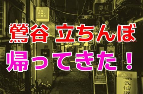 鶯谷 セックス|本番/NN/NS体験談！鶯谷で立ちんぼ増加中！かつての名スポッ。